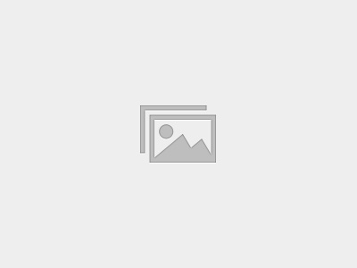 Applying GDE Principles- Case Reviews